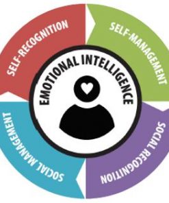 Emotional Intelligence EQ Assessment