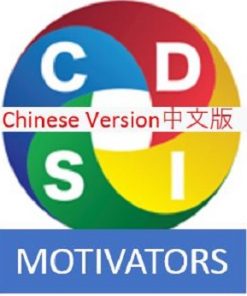 DISC Motivators Mandarin Assessment