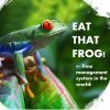 Brian Tracy - Eat that Frog